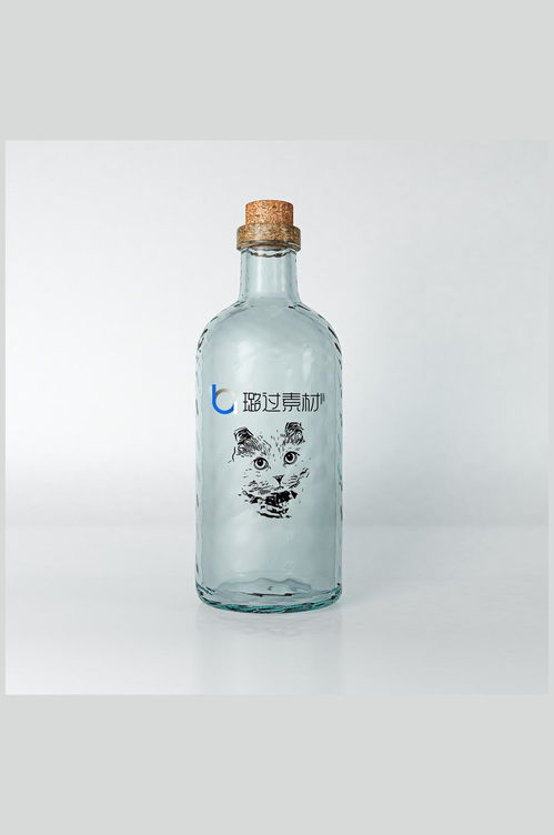 个性果汁矿泉水饮料玻璃瓶包装样机 平面素材
